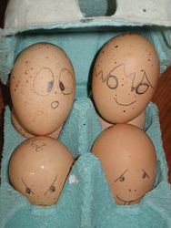 Oeufs rigolos